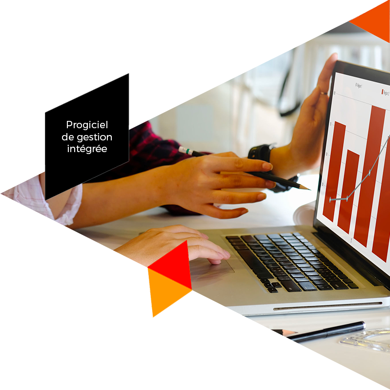 progiciel-de-gestion-integree (2)